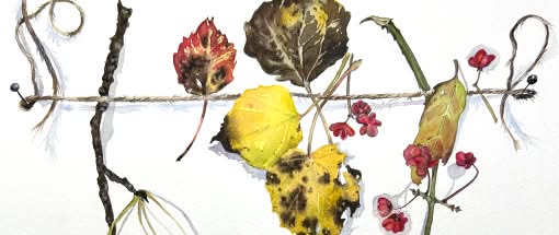 After Work: Prachtvoller Herbst - Botanische Fundstücke in Aquarell