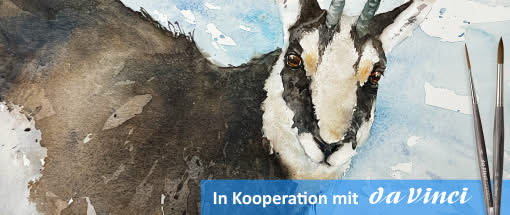 After Work: Das Weiß im (Tier)Aquarell - die Gams