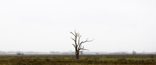 After Work-Kursreihe: Die Kunst der Reduktion