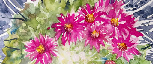 After Work: Grundlagen für das botanische Aquarell